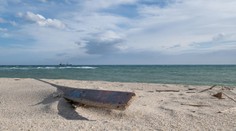 Muž zomrel na pláži v Taliansku, keď ho napadol roj včiel. Na jeho tele nenašli žiadne stopy po žihadlách