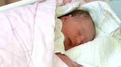 Náhradná matka - obchod s ľudským telom!?