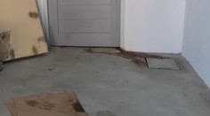 Susedom prekážal neznesiteľný zápach. Milionárku našli zabetónovanú v mrazničke