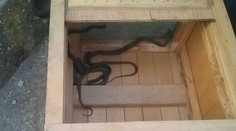 Pani Anna doma pozerala televízor, zrazu sa jej spod gauča vyplazil had