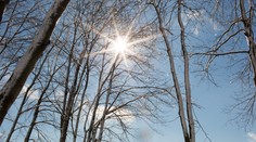 Pred nami je slnečný, neskôr zamračený piatok. Víkendová vyhliadka počasia však poteší
