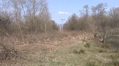 Neporiadok po elektrikároch: Takto vyrabovali najkrajšiu časť lesa