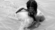 Sfilmovali reálny príbeh muža, ktorý prežil milostný vzťah s delfínom