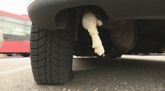 Na bratislavskom sídlisku vyčíňa vandal. Autá, na ktoré sa zameral, majú spoločnú jednu vec