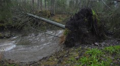Víchrica Nadia udrie v nedeľu. Tu zistíte, v ktorých hodinách a kde bude fúkať najsilnejší vietor