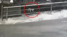 Batoľa vypadlo za jazdy z auta, rodičia si to všimli až doma