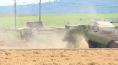 Zlacnie vďaka Rusom aj chlieb na Slovensku? Je to naozaj možné