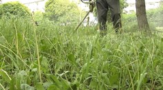 Počasie im komplikuje život. Hlohovec sa mení na džungľu