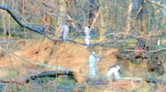 V lese neďaleko Levoče našli zastreleného dôchodcu (†77)