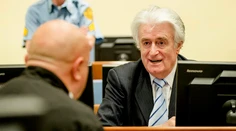 Karadžič po odsúdení v Haagu žiada o prepustenie na slobodu