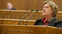 Plénum nevzalo na vedomie správu Dubovcovej o porušovaní práv detí