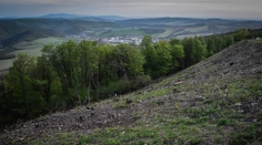 Taraba chce uvoľniť pravidlá pre výrub stromov a krov. Ochranári varujú pred možným zneužitím zákona