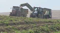 Farmári stále nedostali peniaze od štátu. Minister Takáč sľubuje nápravu