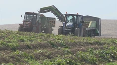 Farmári stále nedostali peniaze od štátu. Minister Takáč sľubuje nápravu