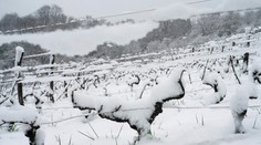 V sobotu večer by malo nasnežiť aj v Bratislave. Prečítajte si, kedy začne a koľko snehu napadne