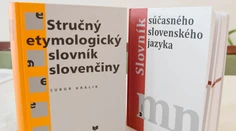 Ochrana jazyka či potláčanie menšín? Ministerstvo kultúry pripravuje novelu zákona o štátnom jazyku