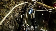 Svetlá na vianočnom stromčeku v Bratislave môžu spôsobiť skrat: Elektrikár sa len chytil za hlavu