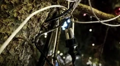 Svetlá na vianočnom stromčeku v Bratislave môžu spôsobiť skrat: Elektrikár sa len chytil za hlavu