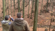 Problémové medvede trápia ľudí čoraz viac. Špeciálny zásahový medvedí tím sa preto rozrastá