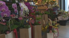 Kvetiny, sladkosti či kvapka krvi. Zisťovali sme, ako ľudia na Slovensku oslavujú sviatok sv. Valentína