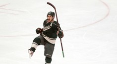 "Divosi" začnú vyraďovacie boje NHL bez veľkej opory