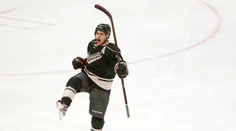 "Divosi" začnú vyraďovacie boje NHL bez veľkej opory