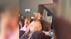 Mal by prestať sledovať televíziu. Takýto vydesený výraz ste ešte nevideli