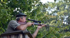 Kvôli africkému moru zastrelia všetky diviaky v najväčšej zvernici na východnom Slovensku