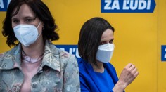 Pre Remišovej váhavý postoj prišla strana o ďalšiu tvár. Ostré slová politológa