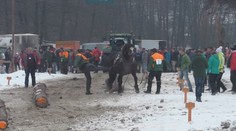 Furmani, ktorí na pretekoch kopali koňa, dostali pokutu 150 eur
