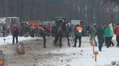 Furmani, ktorí na pretekoch kopali koňa, dostali pokutu 150 eur