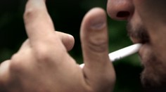 Marihuanu užíva čoraz viac Slovákov: Podľa odborníkov by pomohla anonymná linka pomoci