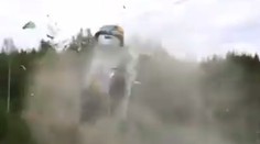 VIDEO: Hrôza na pretekoch rely. Z týchto záberov behá mráz po chrbte