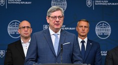 Ministerstvo nečakane stoplo výzvu na ochranu ľudských práv. Nechápeme a sme v šoku, odkazujú organizácie (anketa)