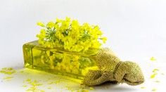 Sú tuky v strave dôležité? Odpoveď asi poznáte, ale ...