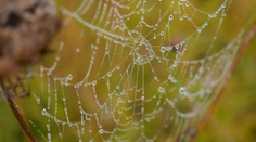 Zažijeme ešte babie leto? Klimatológ to povedal jasne