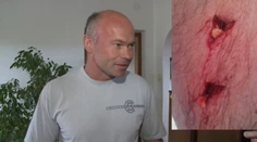 Marián si išiel po nočnej službe zabehať, skočila naňho medvedica