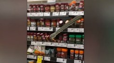 Nečakaný tovar: V supermarkete vystrašil zákazníčku trojmetrový had