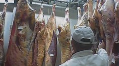 Škandál s poľským hovädzím mäsom znižuje jeho ceny