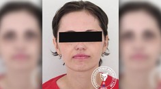 Jej deti si mali nacvičovať odrezávanie hlavy. Aj takéto dôkazy má mať polícia voči Slovenke obvinenej z terorizmu