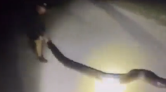 VIDEO: Zámer im vyšiel do bodky. Partii chlapov sa na Floride podarilo uloviť obrieho pytóna