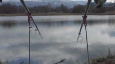 Zamestnankyňa rybárskeho zväzu čelí obvineniu zo sprenevery. Vraj použila jednoduchú fintu