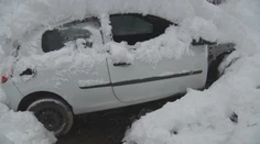 Na Donovaloch sa objavilo auto v rokline. Majiteľ na ňom mohol zarobiť, no teraz mu hrozí mastná pokuta