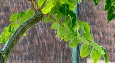 Teplotný šok aj extrémne zrážky. Meteorológovia spresnili nebezpečné predpovede na nasledujúce dni