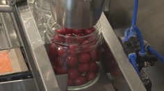 Pozrite si, ktoré slovenské pochúťky získali tento rok „Gastro Oscara“ na prestížnej súťaži