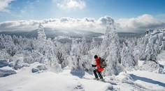 Pripravte sa, bude snežiť. V takmer tridsiatich okresoch platí výstraha 2. stupňa