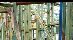 Sydney je ako na ihlách: Hľadá sa mohutný had, v ohrození sú deti a domáce zvieratá