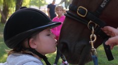 Kontakt s koňmi na podporu duševného zdravia