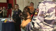 Milé gesto od Ruska! Francúzom darovali šteniatko