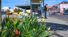 Jeden lístok by mal platiť na všetky prostriedky verejnej osobnej dopravy